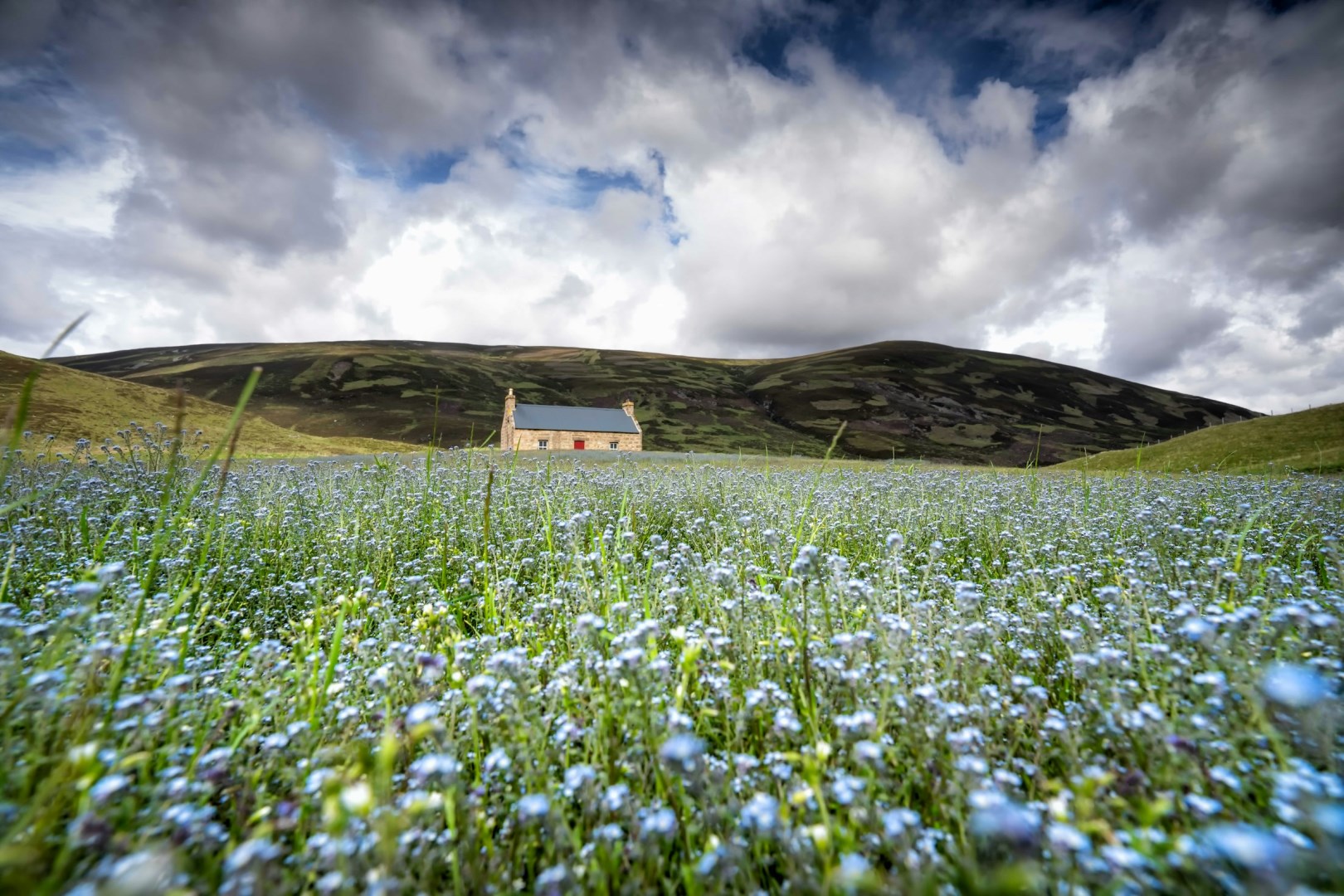  Photo Credit: Photo by martin bennie on Unsplash