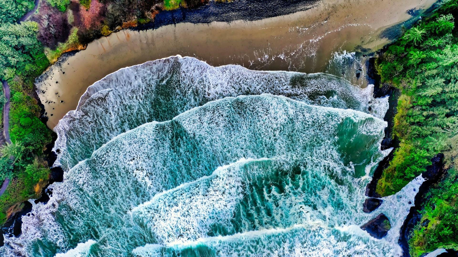  Photo Credit: Photo by Venti Views on Unsplash