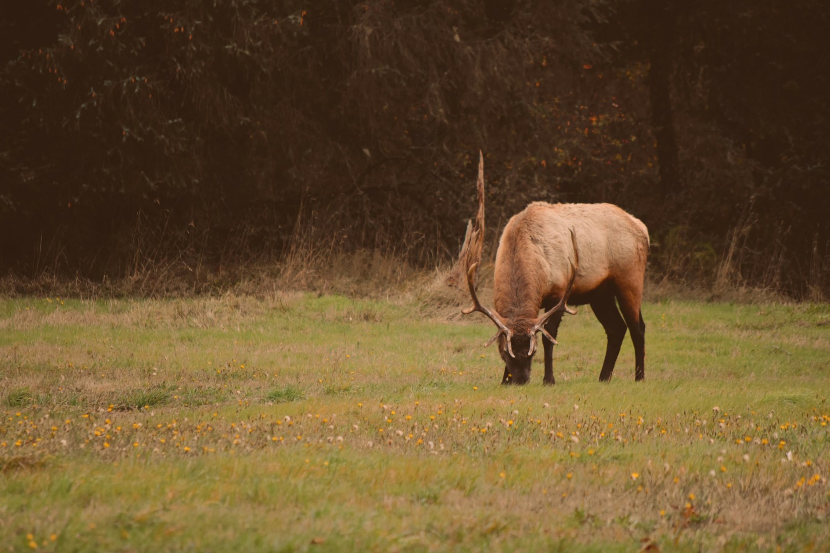  Photo Credit: Photo by Mandy Bourke on Unsplash