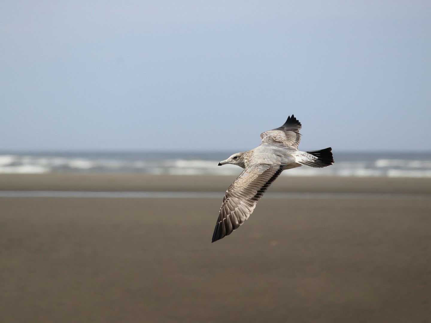 Seaside