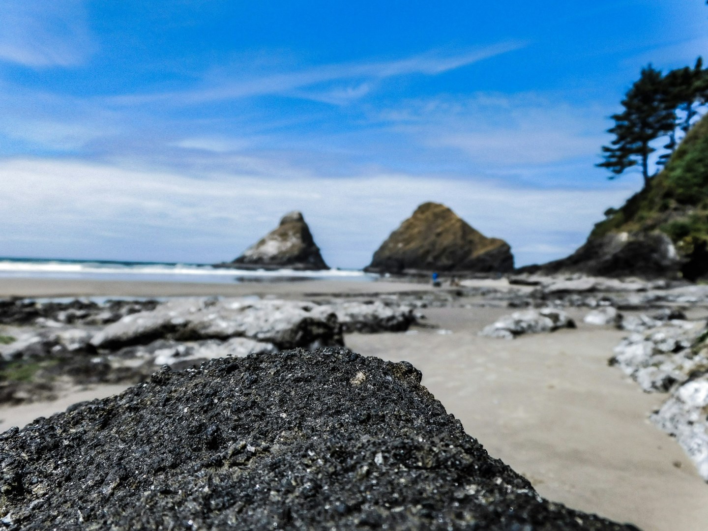  Photo Credit: Photo by Peter Robbins on Unsplash