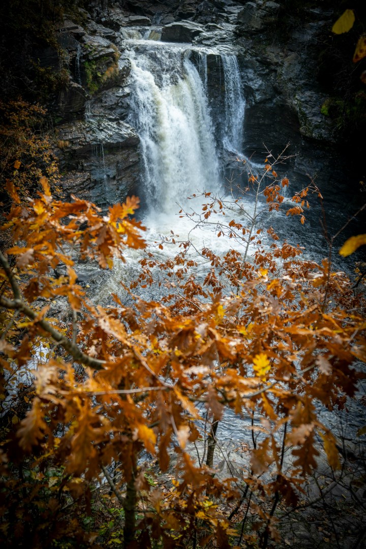 Falls Of Falloch - Photo Credit: Photo by Jonny Gios on Unsplash