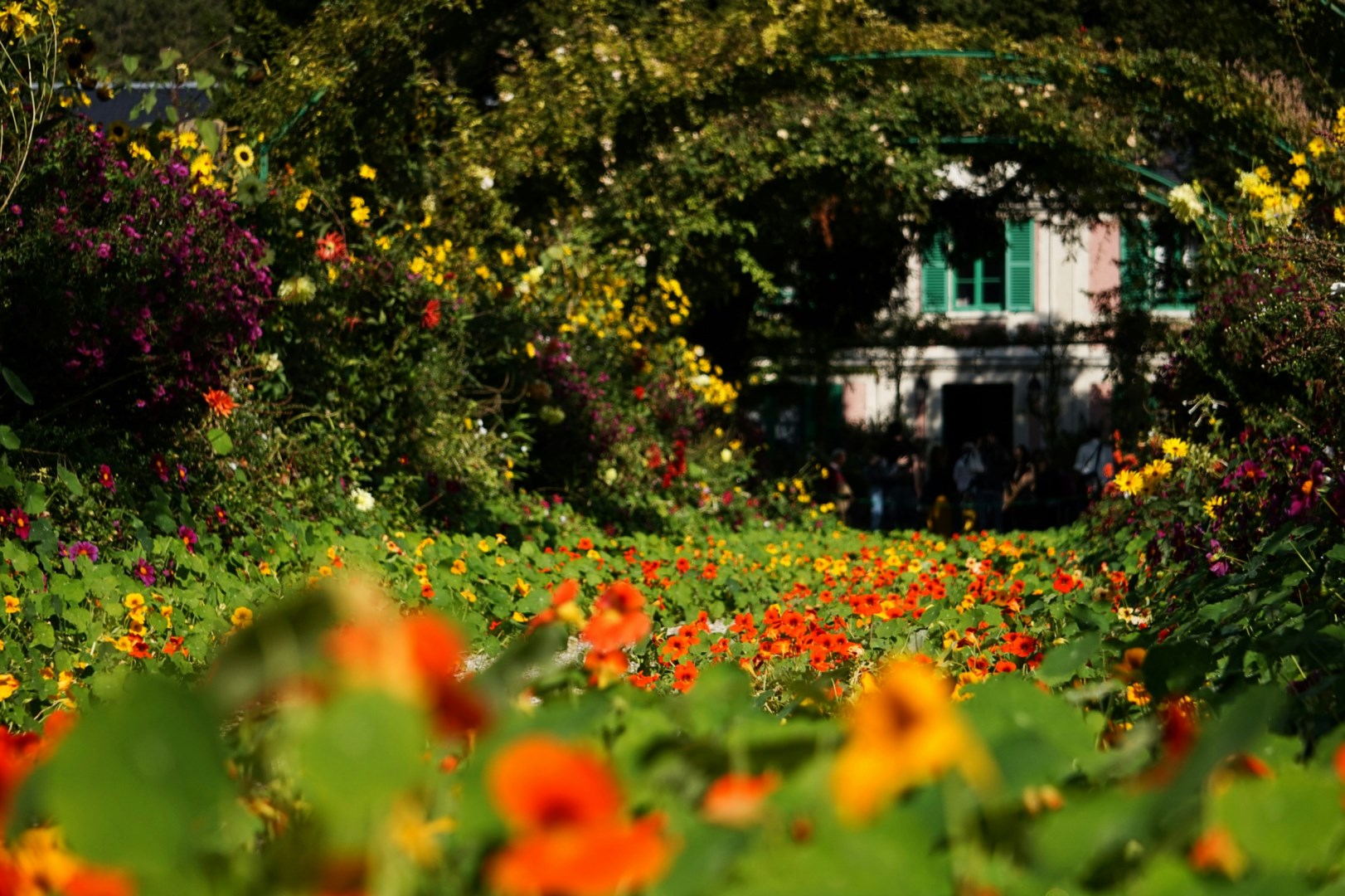  Photo Credit: Photo by Baptiste RIFFARD on Unsplash