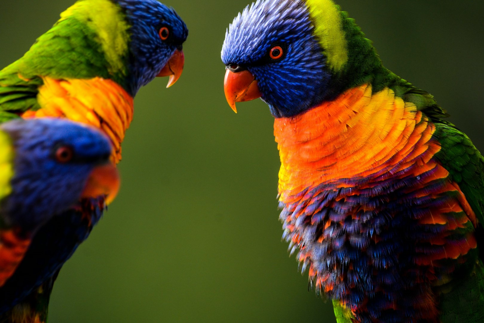  Photo Credit: Photo by Damon Hall on Unsplash