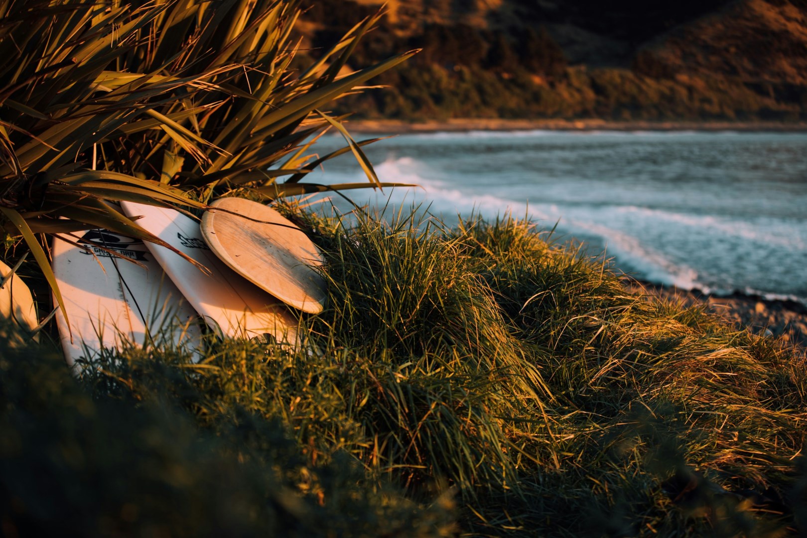  Photo Credit: Photo by Tim Marshall on Unsplash