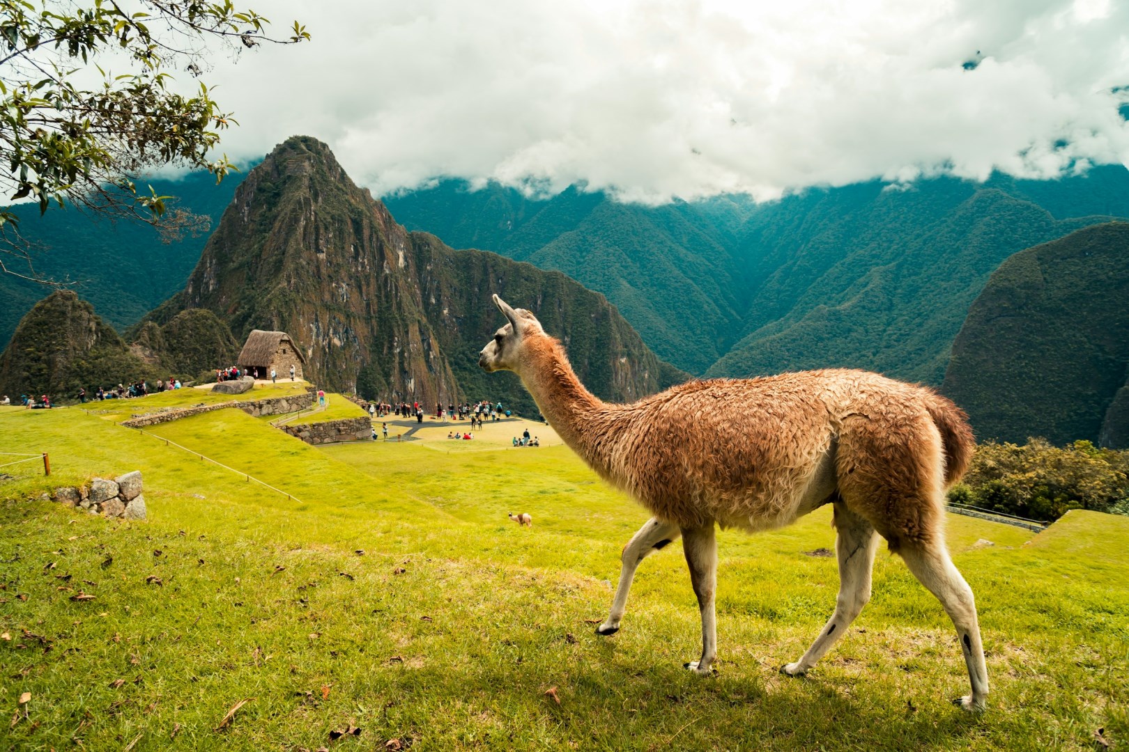  Photo Credit: Photo by Willian Justen de Vasconcellos on Unsplash