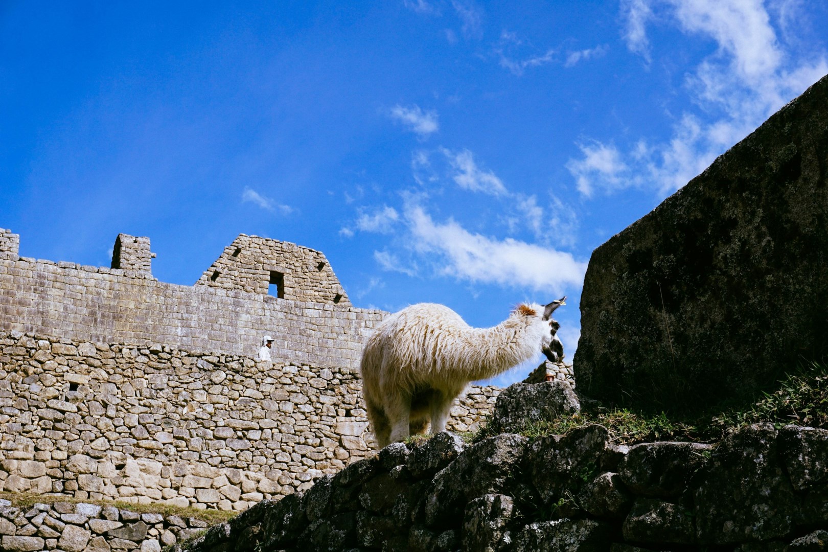  Photo Credit: Photo by Rosalind Chang on Unsplash
