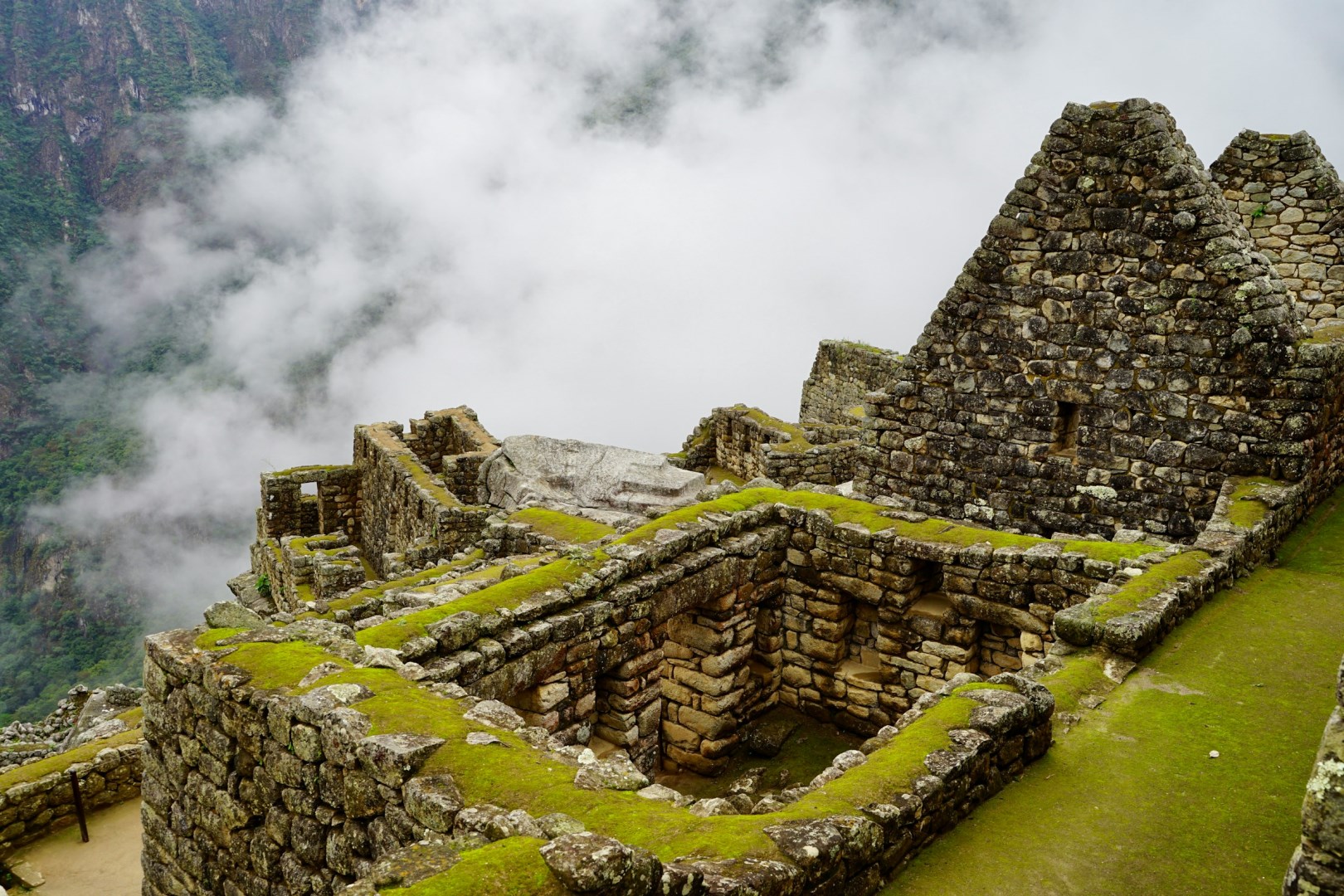  Photo Credit: Photo by Mark Kuiper on Unsplash