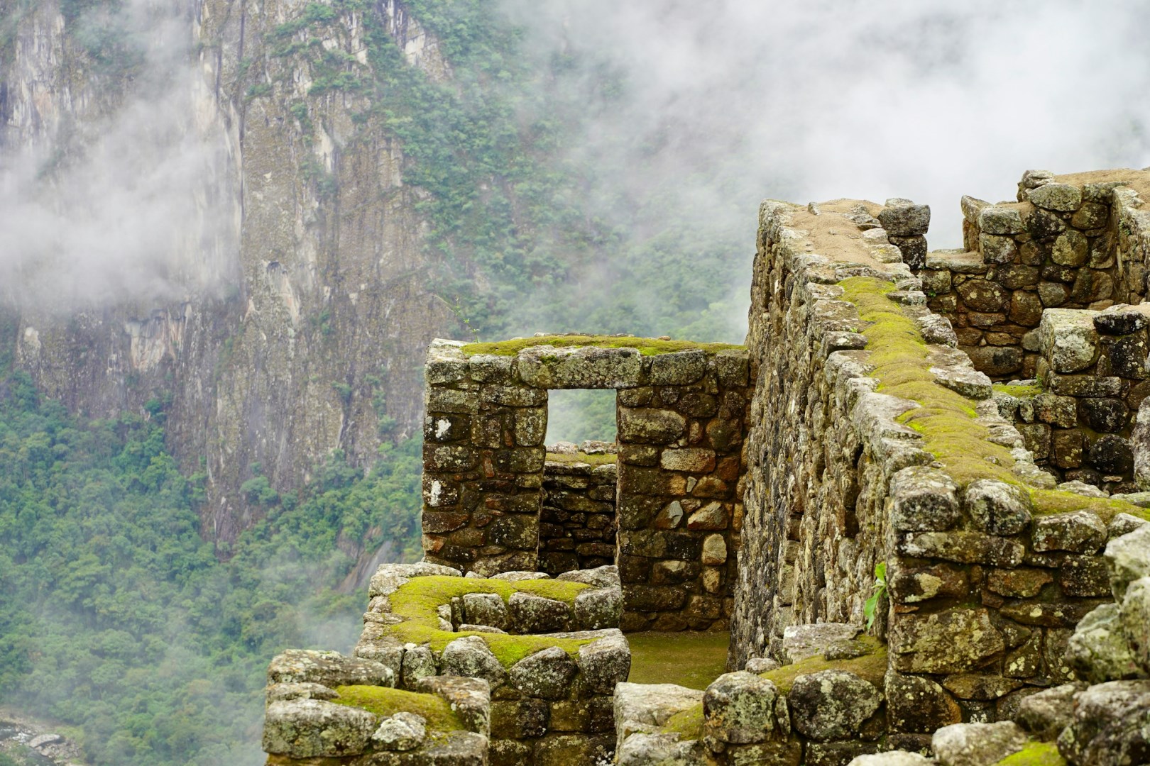 Photo Credit: Photo by Mark Kuiper on Unsplash