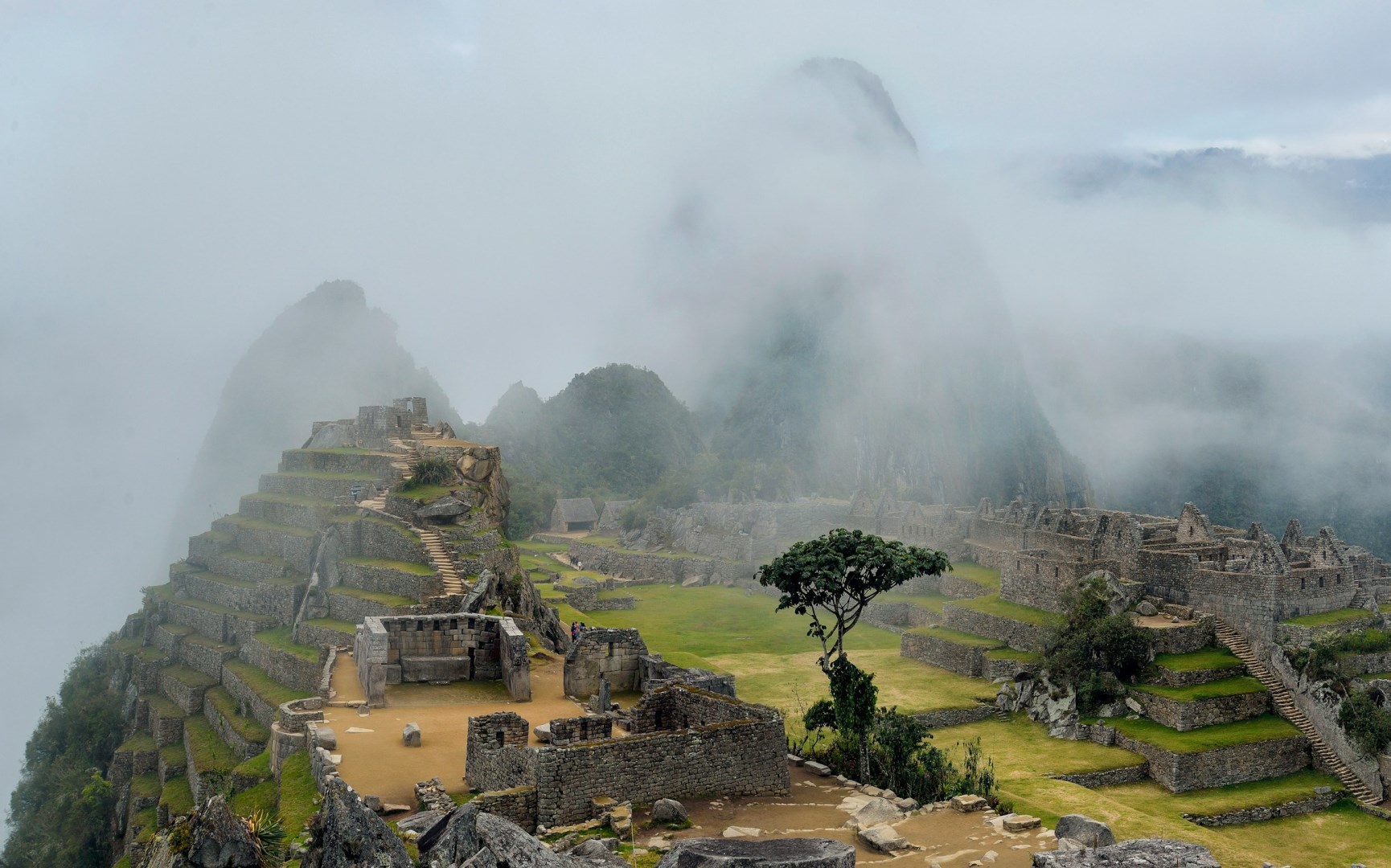 Photo Credit: Photo by Pedro Lastra on Unsplash