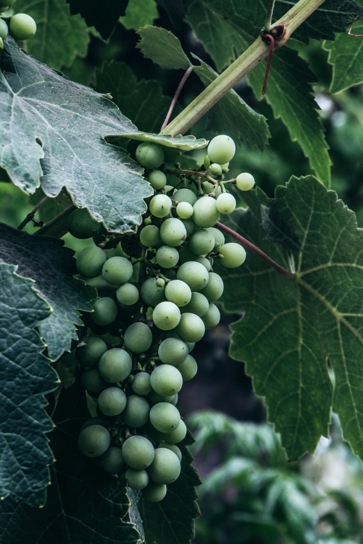  Photo Credit: Photo by Marian G Ruggiero on Unsplash
