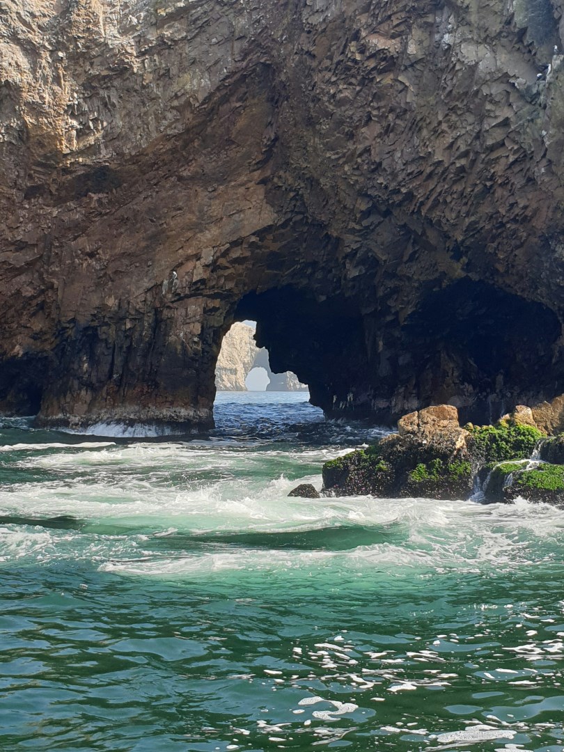  Photo Credit: Photo by Sandro Meier on Unsplash