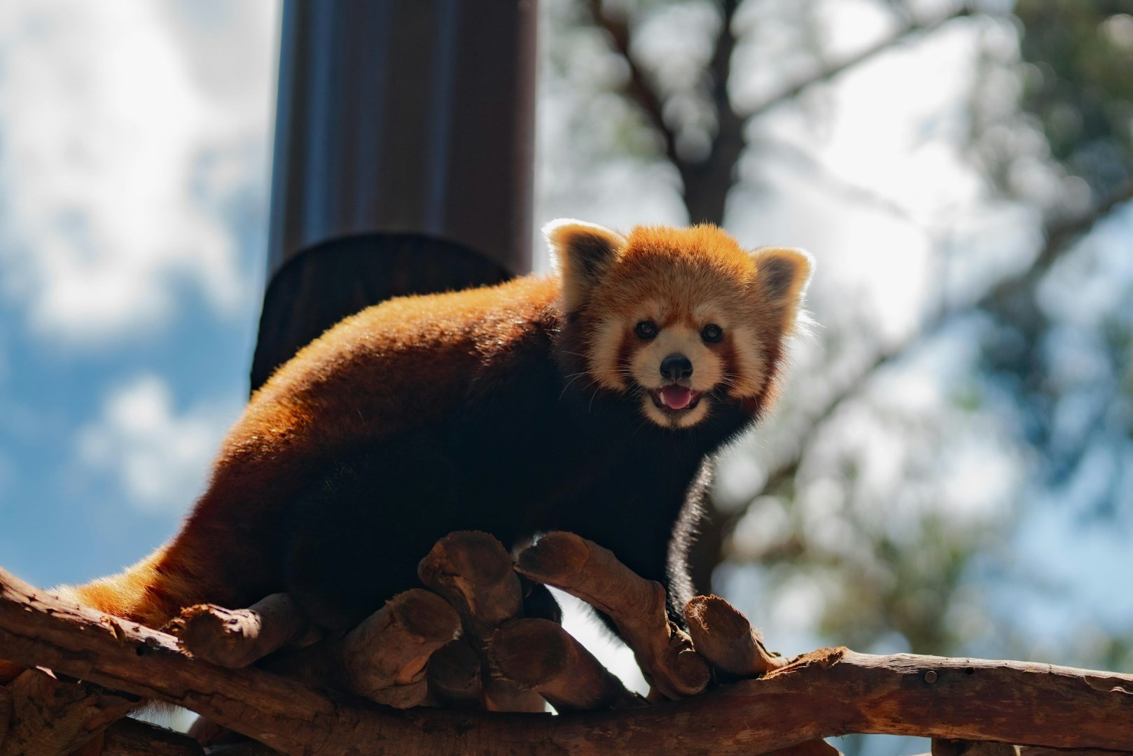  Photo Credit: Photo by Yezhang Wang on Unsplash