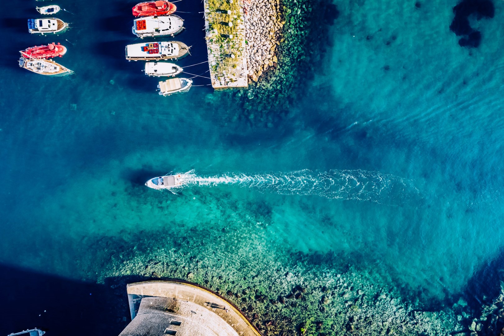  Photo Credit: Photo by Lucian Petronel Potlog on Unsplash