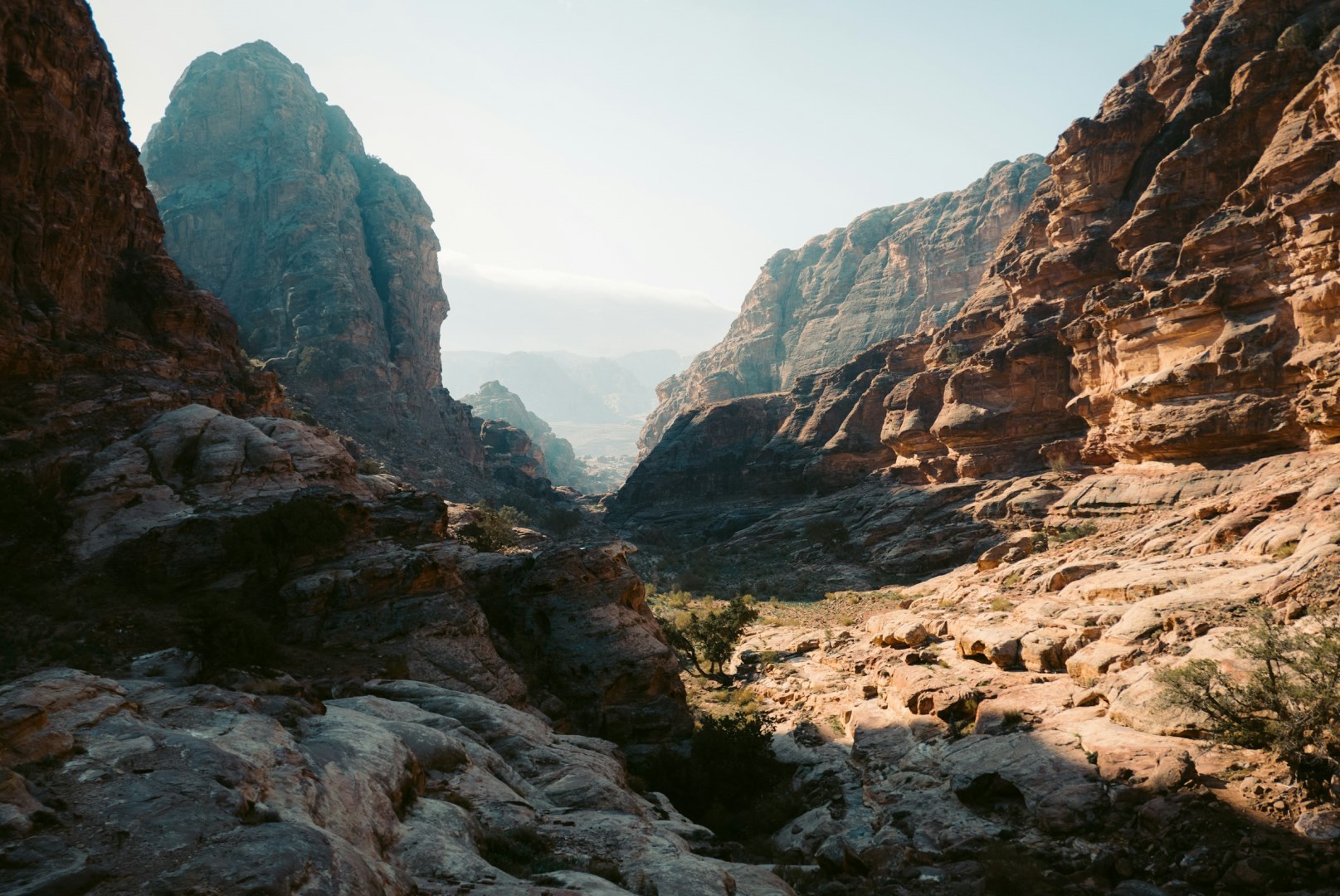  Photo Credit: Photo by Jan Kuppens on Unsplash