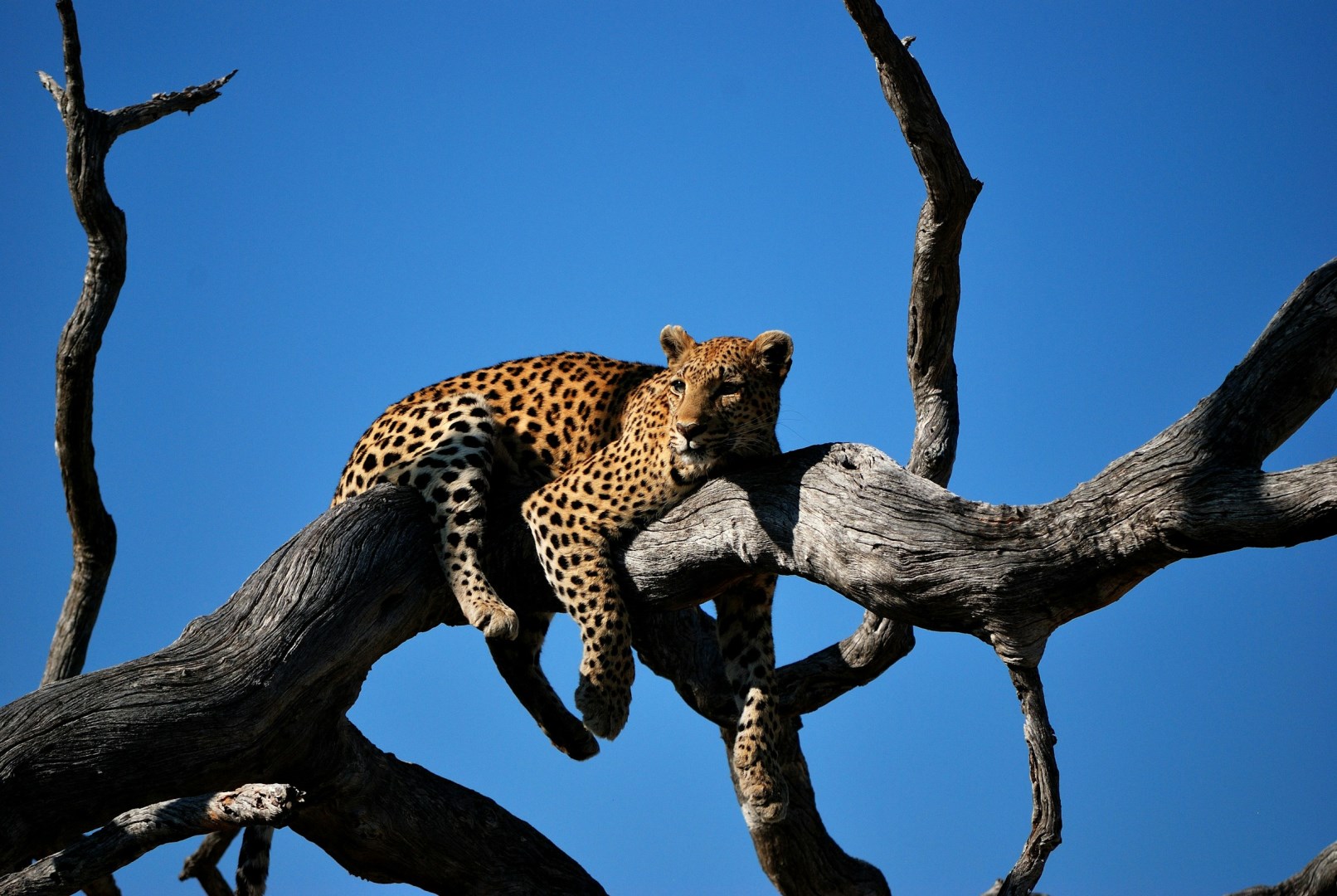  Photo Credit: Photo by Colin Watts on Unsplash