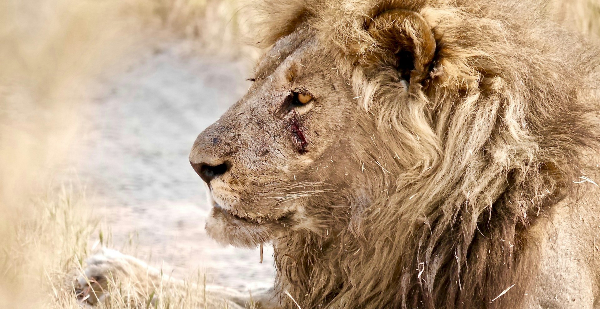  Photo Credit: Photo by Phil Howells on Unsplash