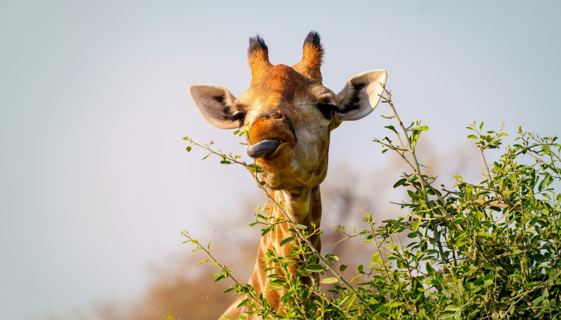  Photo Credit: Photo by Ed Wingate on Unsplash