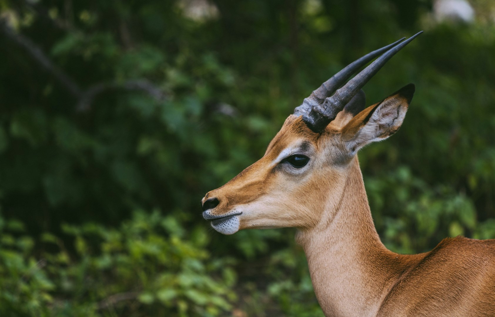  Photo Credit: Photo by Roger Erdvig on Unsplash