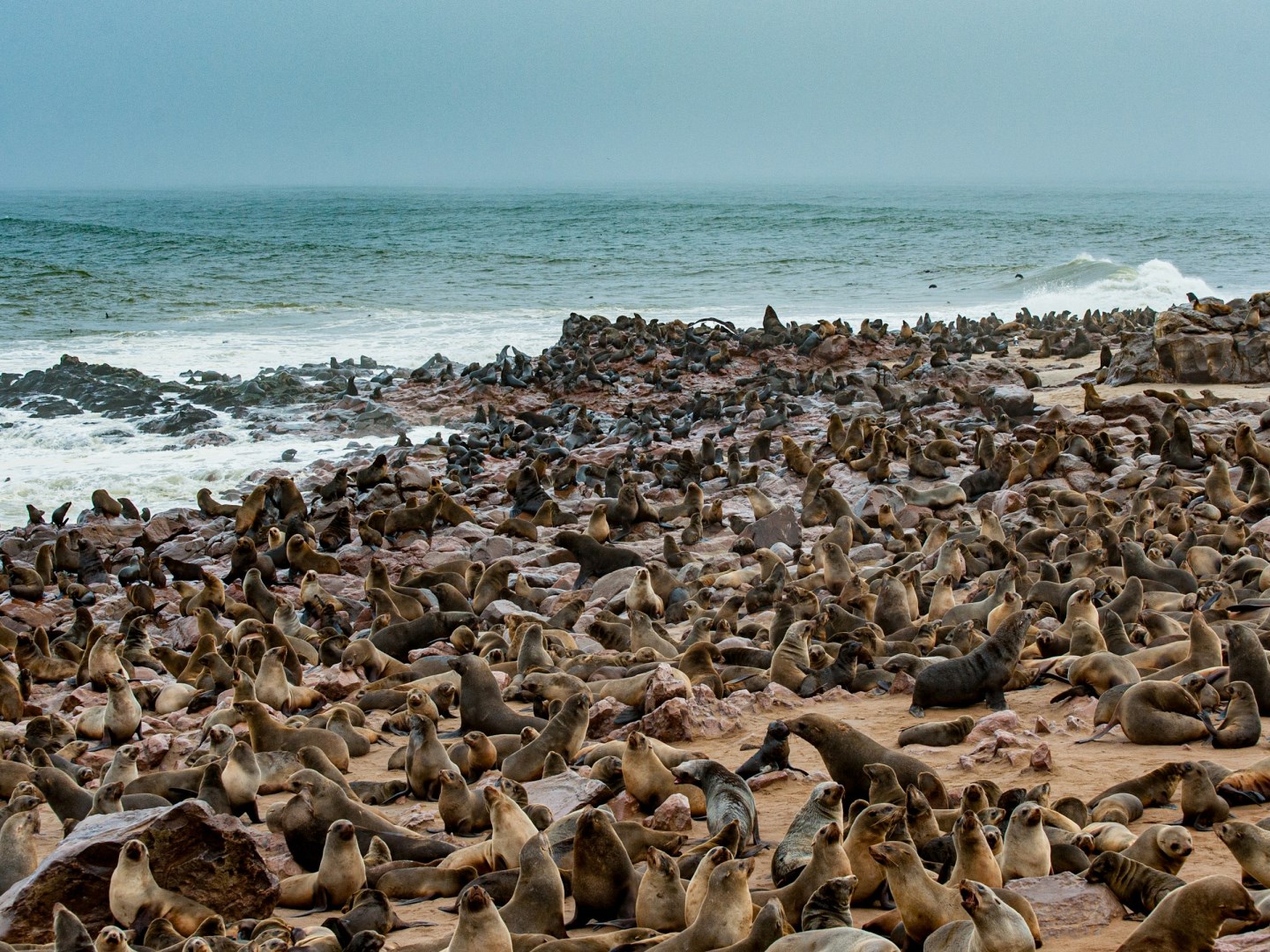 Cape Cross