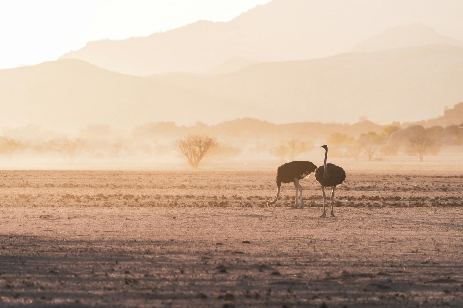  Photo Credit: Photo by Eelco Böhtlingk on Unsplash