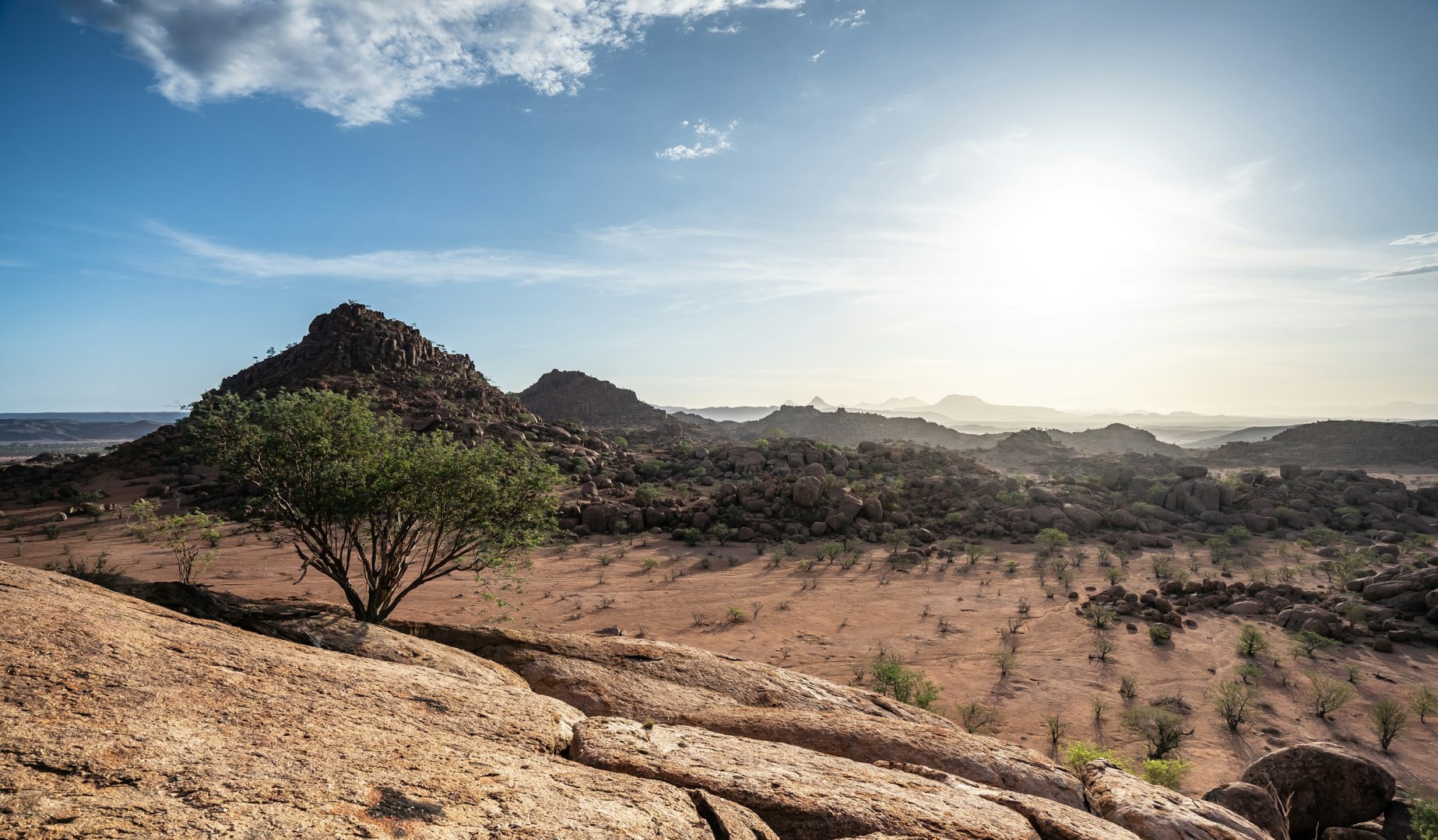  Photo Credit: Photo by Eelco Böhtlingk on Unsplash