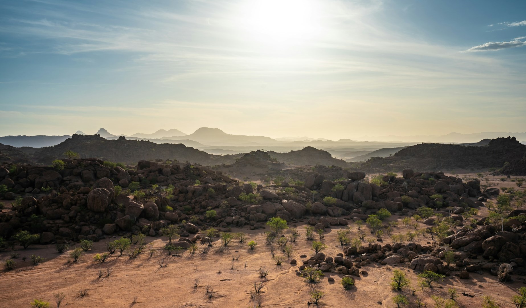  Photo Credit: Photo by Eelco Böhtlingk on Unsplash