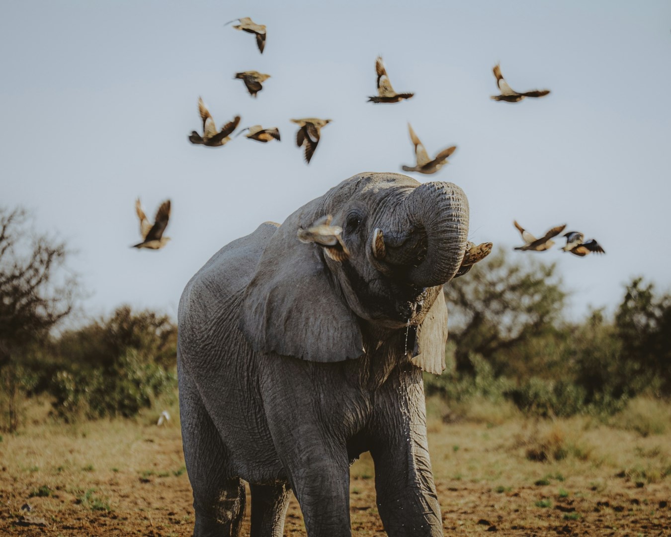  Photo Credit: Photo by Mathias Dargnat on Unsplash