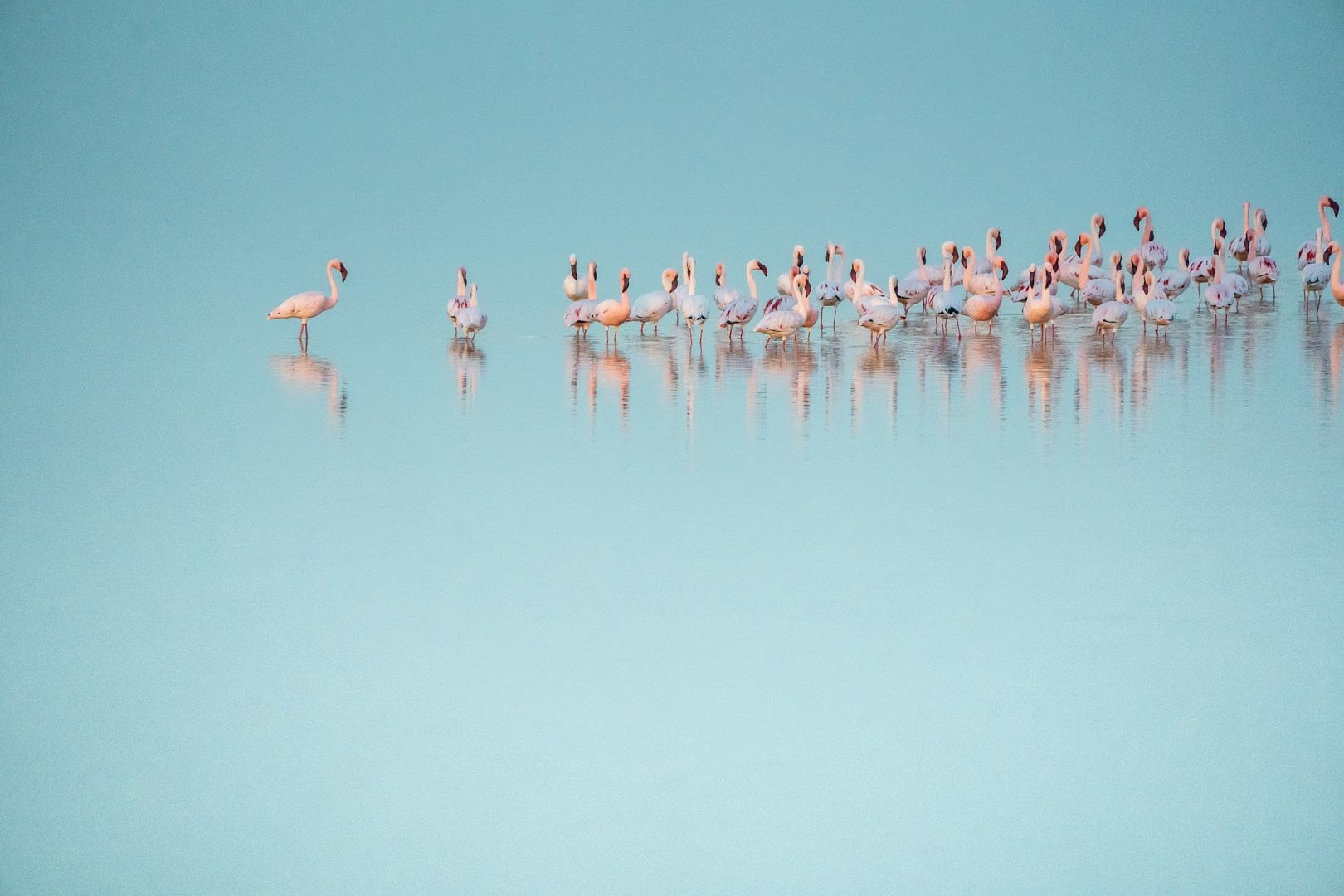  Photo Credit: Photo by Eelco Böhtlingk on Unsplash