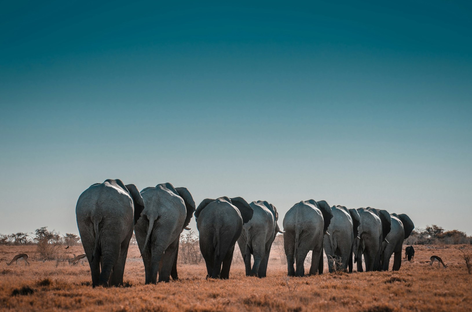  Photo Credit: Photo by Sergi Ferrete on Unsplash