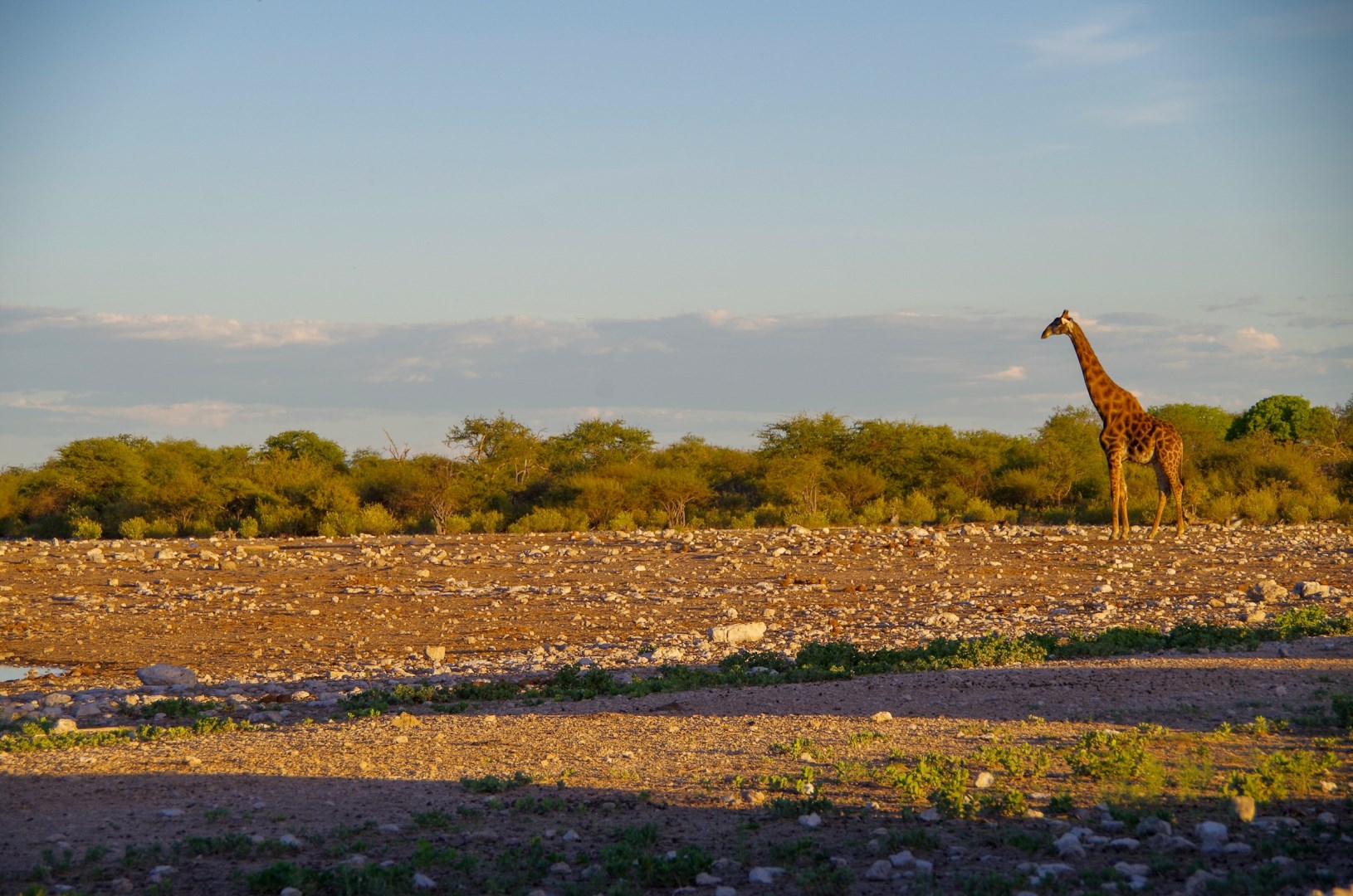  Photo Credit: Photo by m_oros on Unsplash