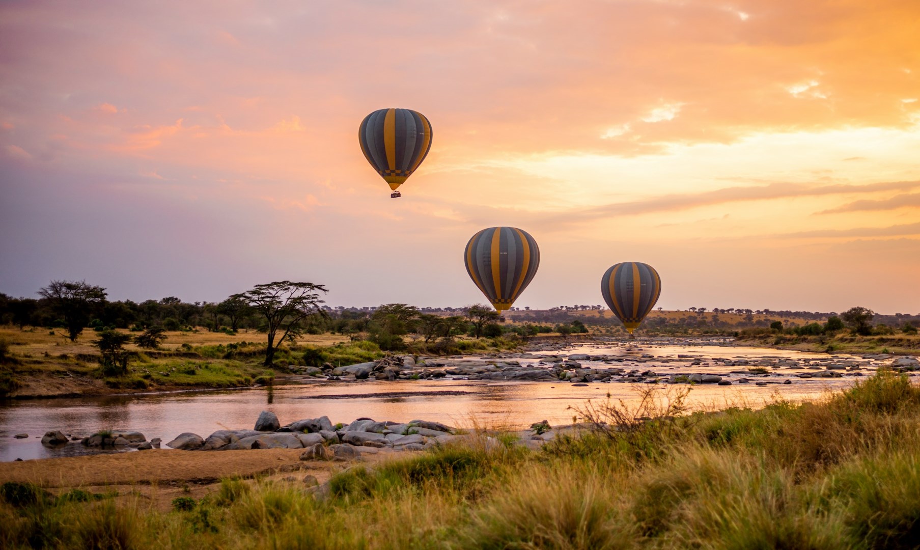  Photo Credit: Photo by Tanzania Wild Sky on Unsplash