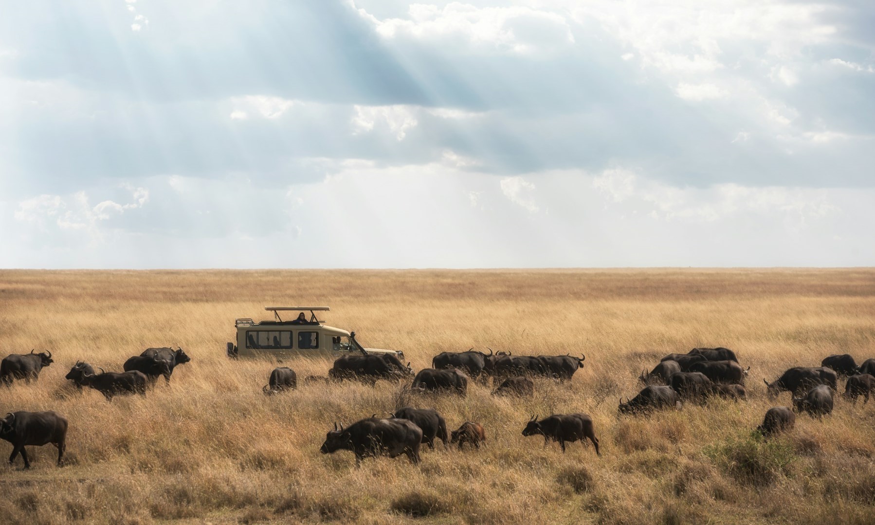  Photo Credit: Photo by Hu Chen on Unsplash