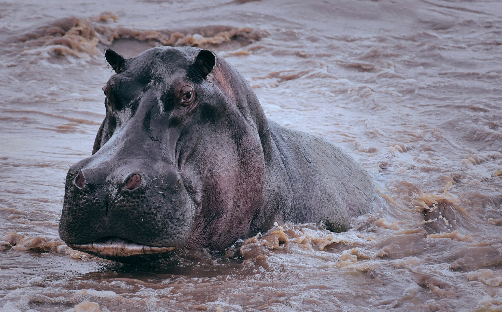  Photo Credit: Photo by Catherine Merlin on Unsplash