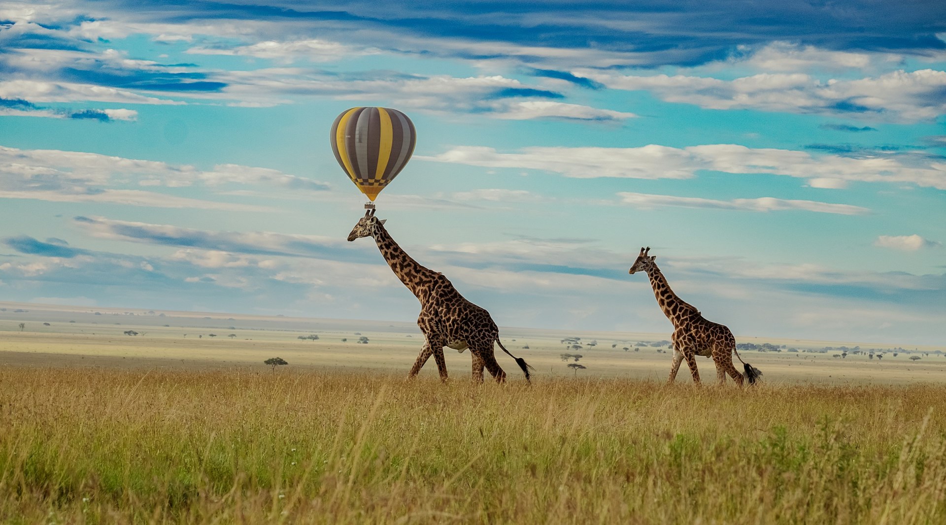  Photo Credit: Photo by Tanzania Wild Sky on Unsplash