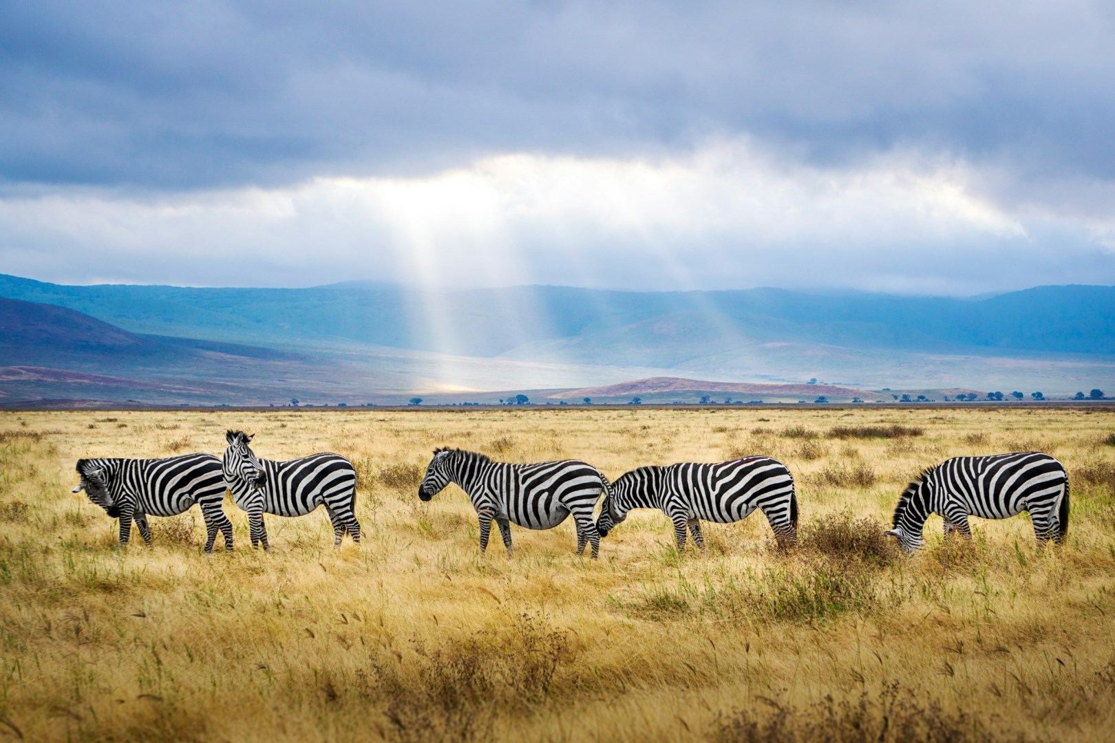  Photo Credit: Photo by Hendrik Cornelissen on Unsplash
