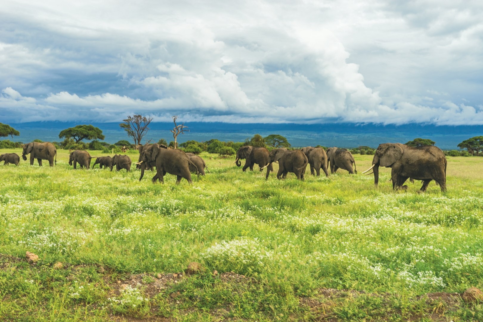  Photo Credit: Photo by Matt Cramblett on Unsplash