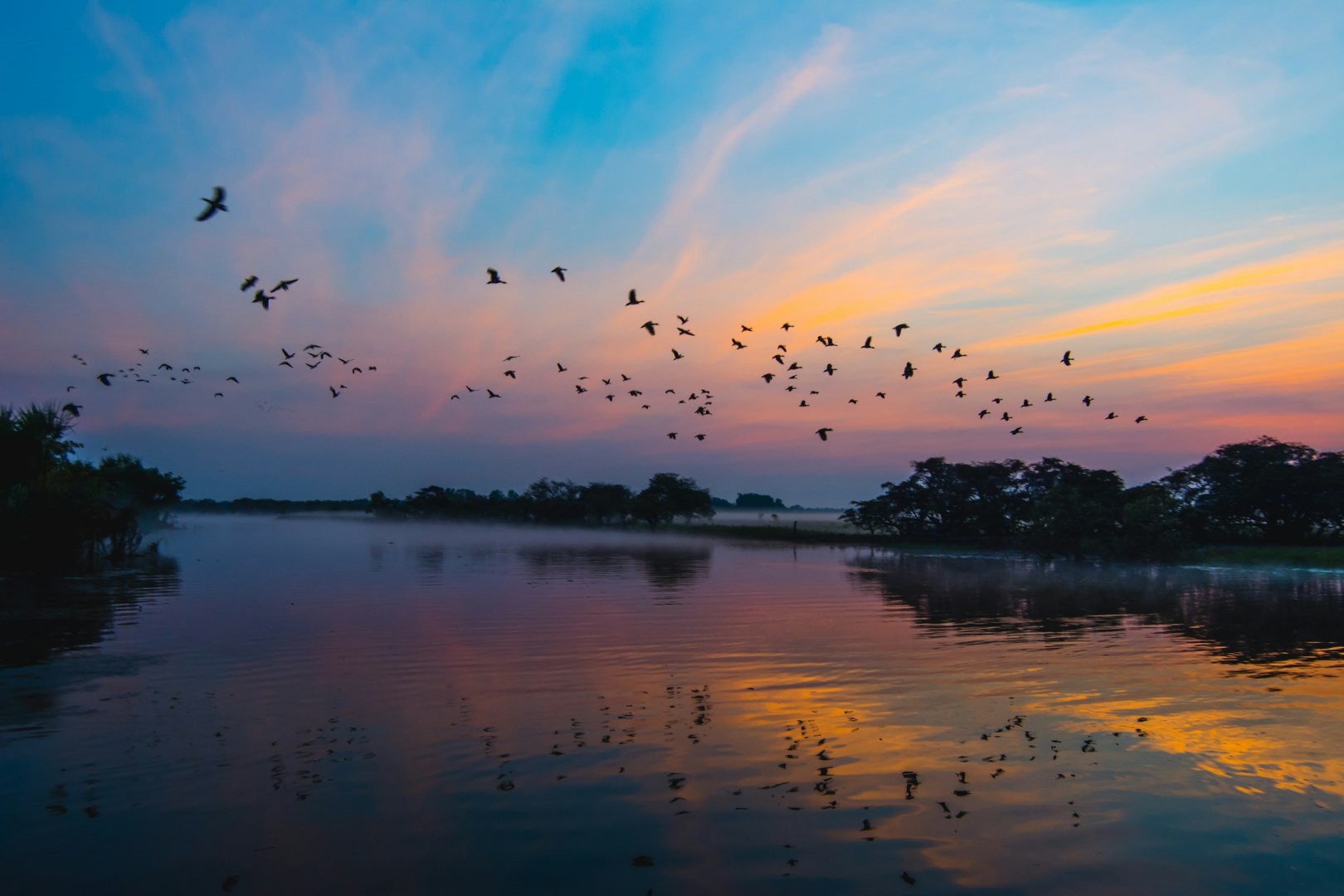  Photo Credit: Photo by Karl Hedin on Unsplash