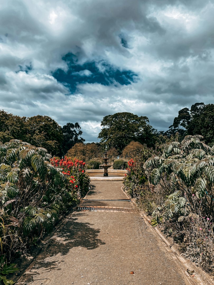  Photo Credit: Photo by Samantha Gilmore on Unsplash