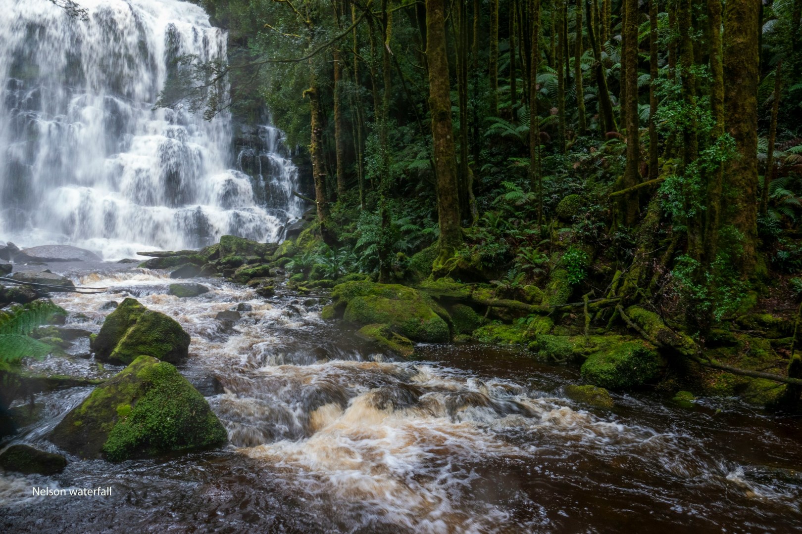 Nelson Falls - Photo Credit: Photo by Wietse Jongsma on Unsplash