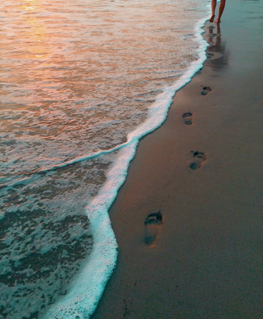  Photo Credit: Photo by Genevieve Dallaire on Unsplash