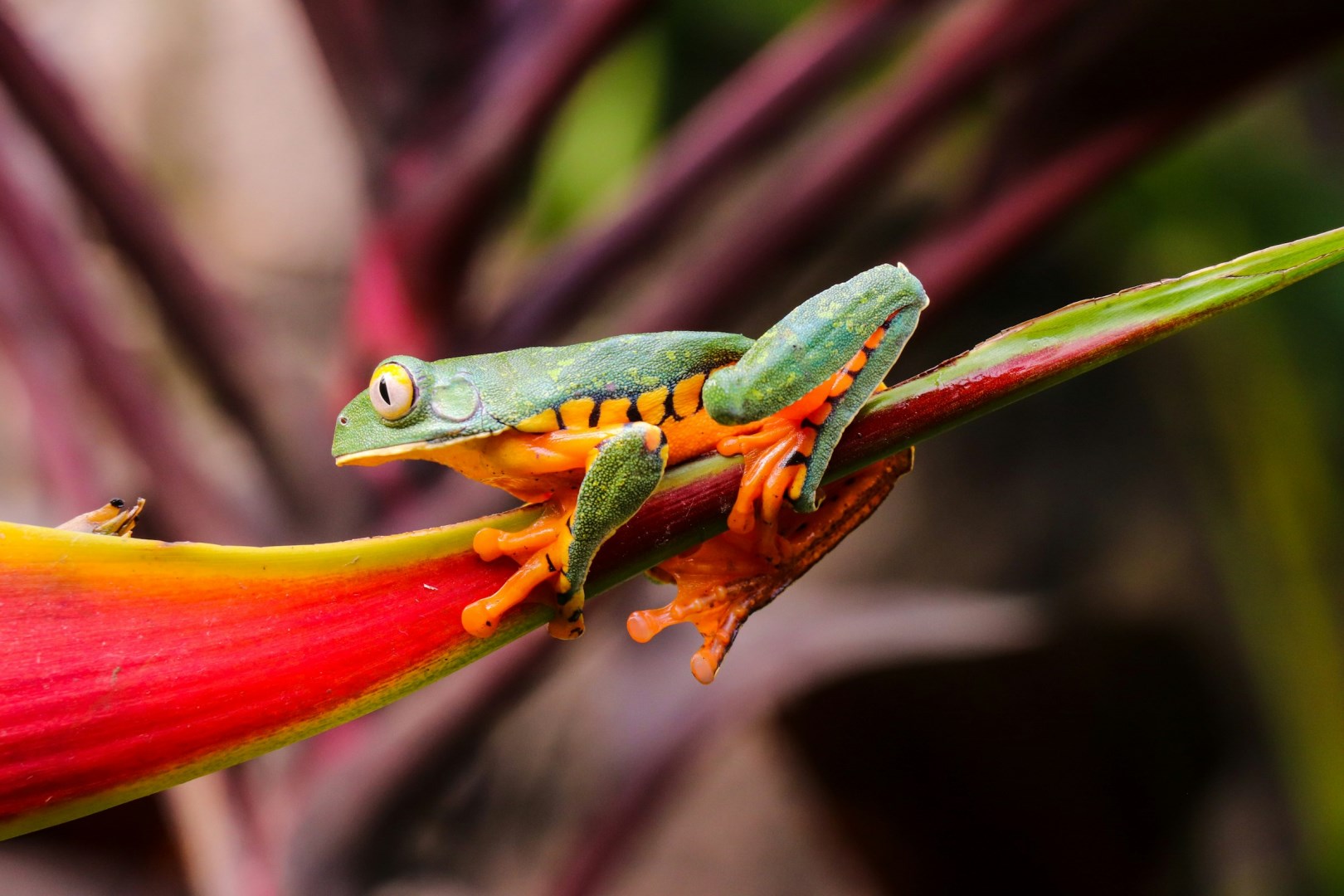  Photo Credit: Photo by David Traña on Unsplash