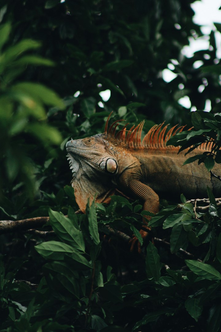  Photo Credit: Photo by Alli Elder on Unsplash