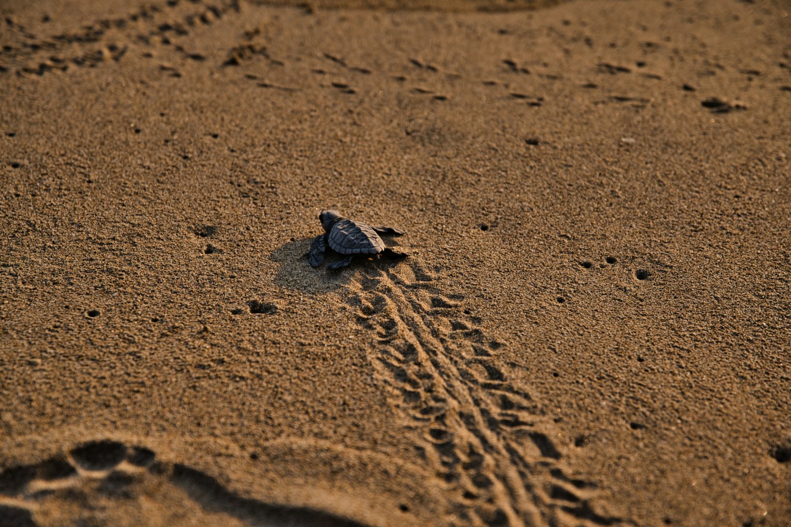  Photo Credit: Photo by Marco Bicca on Unsplash