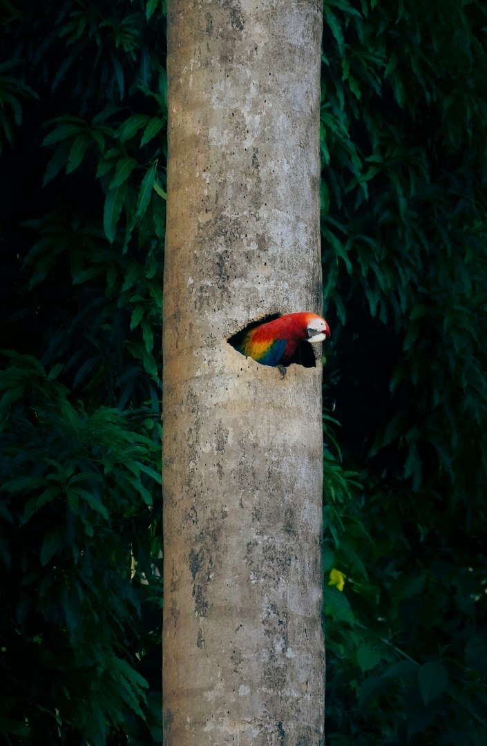  Photo Credit: Photo by Adrián Valverde on Unsplash