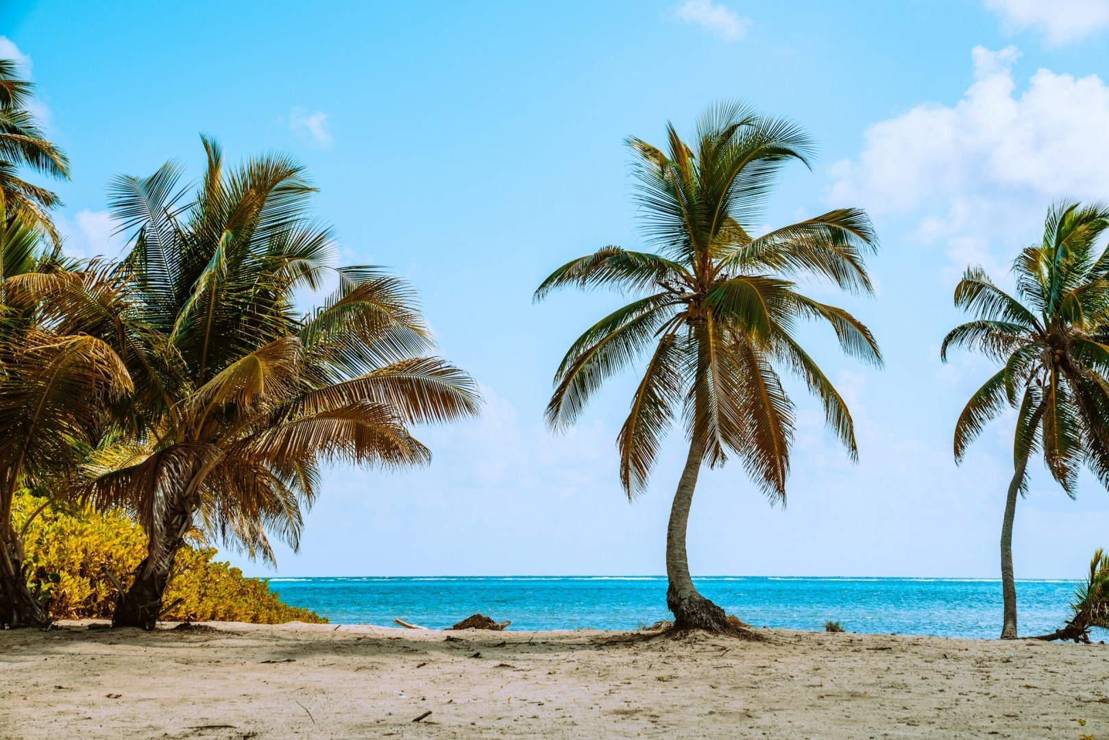 Photo Credit: Photo by Meritt Thomas on Unsplash