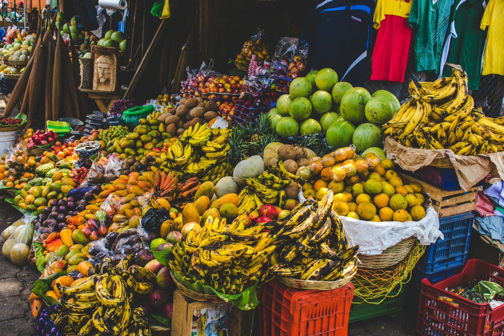  Photo Credit: Photo by Arturo Rivera on Unsplash