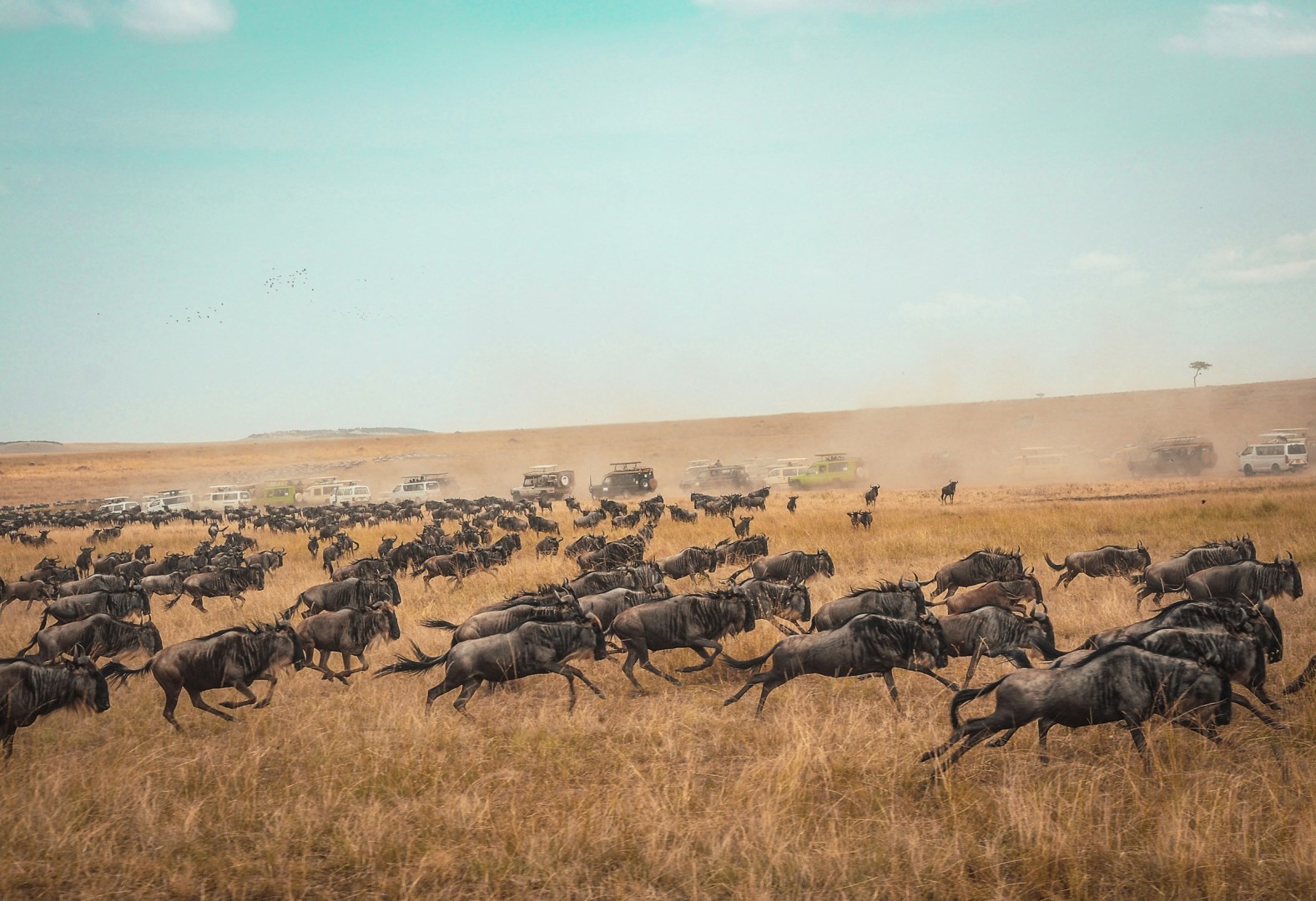  Photo Credit: Photo by Harshil Gudka on Unsplash