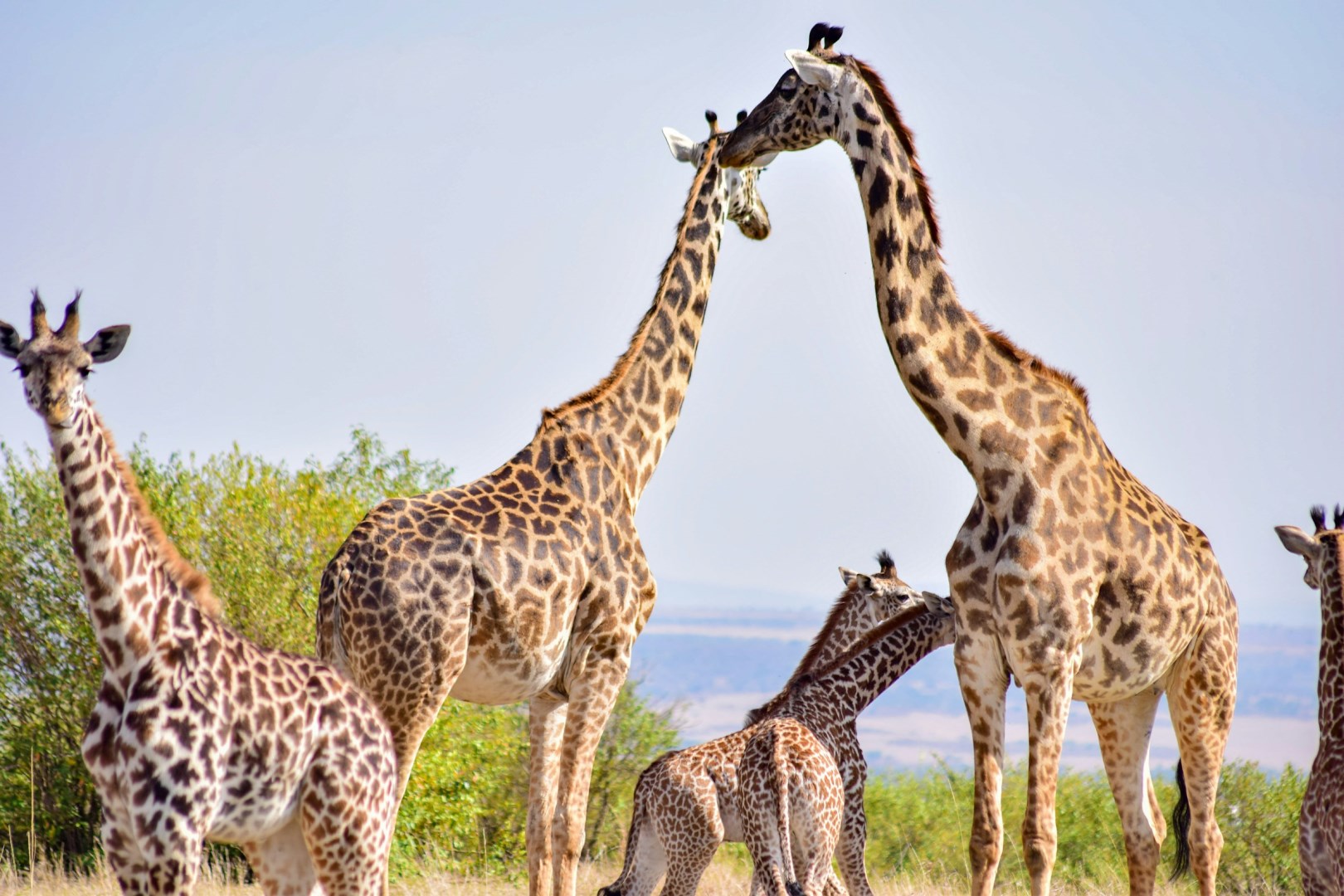  Photo Credit: Photo by Grace Nandi on Unsplash