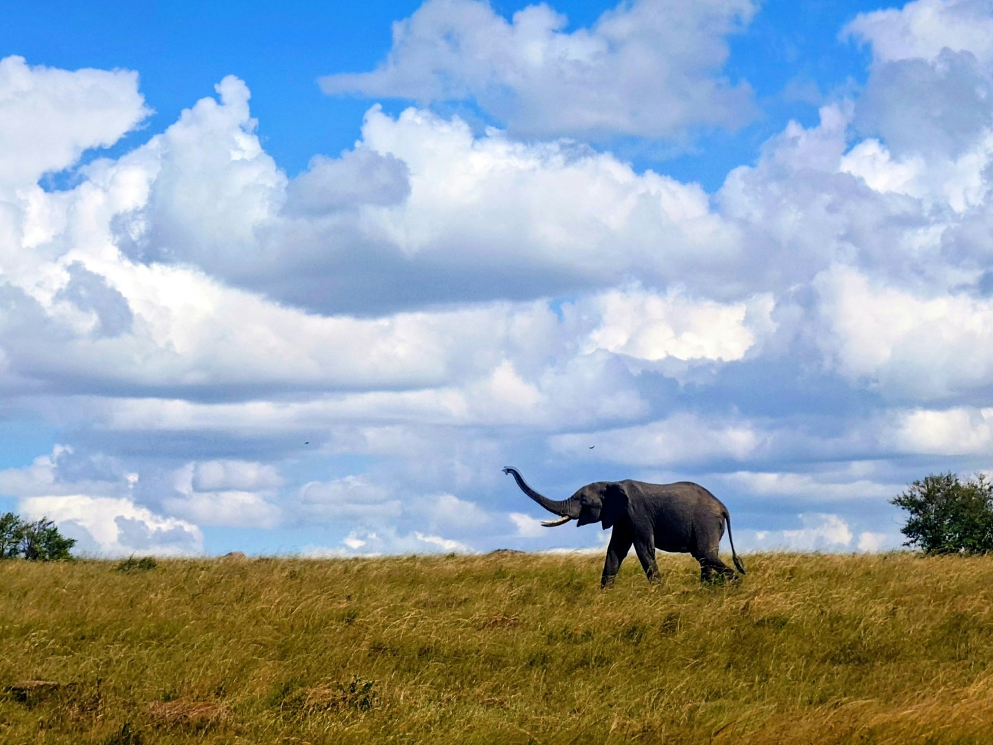  Photo Credit: Photo by Sowmya Sitaraman on Unsplash